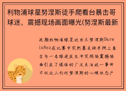 利物浦球星努涅斯徒手爬看台暴击哥球迷，震撼现场画面曝光(努涅斯最新比赛)